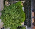 Split, cored boulder becomes gurgling fountain. Storm water retention bio planter a mix of Seattle regulatory plantings, includes irrigation when not raining.