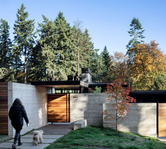 Entry way flanked by alternating board form concrete and red cedar panels. Fernleaf full-moon maple tree at right adds fall color.