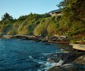 High tide in False Bay. Rugged native plants hug the shore, including Nootka rose and Snowberry that are pruned periodically lest they block the view.