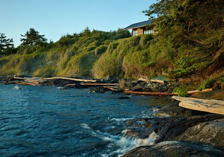 High tide in False Bay. Rugged native plants hug the shore, including Nootka rose and Snowberry that are pruned periodically lest they block the view.