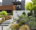 Japanese Blood Grass reiterates Corten Steel garage. Blue Fescue balances right. Bushy Arctic Fire Dogwood in bioretention planter. Photography © Doreen L. Wynja