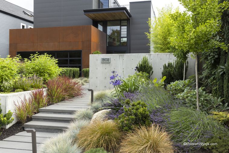 Japanese Blood Grass reiterates Corten Steel garage. Blue Fescue balances right. Bushy Arctic Fire Dogwood in bioretention planter. Photography © Doreen L. Wynja