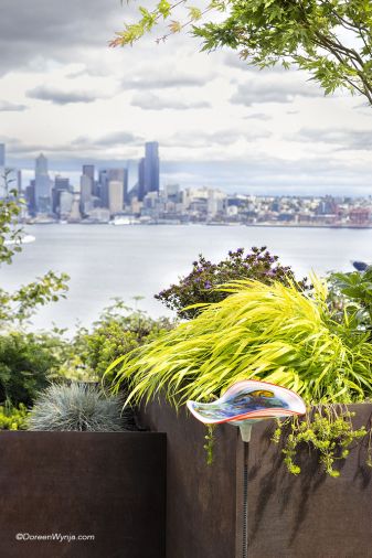 Japanese Forest Grass spills over planters, contrasting with curved glass birdbath. Photography © Doreen L. Wynja