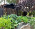 Cisterns collect rainwater off carport for vegetable garden. Grapes climb metal screens in between.  Photography © Charlie Hellstern