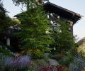 Former driveway now boasts lush Black-Eyed Susans, Russian Sage, and Douglas Aster, all valuable insect pollinators. Katsura tree changes with seasons. Unilux windows throughout. Taylor Metals metal roof. Photography © Kevin Scott