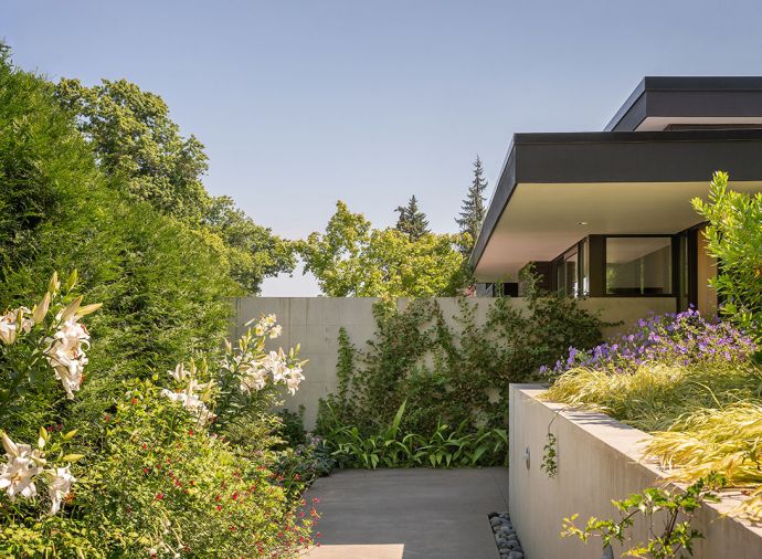 A discreet opening in the hedge off a busy street leads to the home’s main entrance, meandering past a plethora of lilies left toward the concrete wall adorned with climbing Hydrangea. Formal entry is at right. That same concrete wall traverses the main living area out into the deck area beyond. Concrete retaining wall at right partially obscures the entry door. Covered entry soffit matches the interior ceilings.