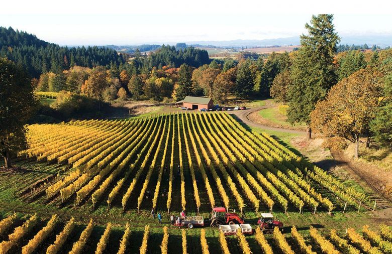 Estate vineyards at Alexana Vineyard and Winery include dozens of different soil types. Photography © Andréa Johnson Photography.