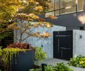 Bright ferns and hostas add a pop of color against the darker materials. The Japanese maple retained from the original landscape was moved into an over-sized planter street side for maximum visual impact. Bamboo is a dynamic part of the plan, adding additional delineation of separate spaces and softening solid and angular walls.