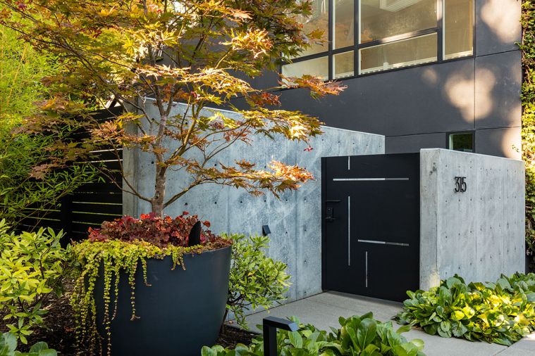 Bright ferns and hostas add a pop of color against the darker materials. The Japanese maple retained from the original landscape was moved into an over-sized planter street side for maximum visual impact. Bamboo is a dynamic part of the plan, adding additional delineation of separate spaces and softening solid and angular walls.