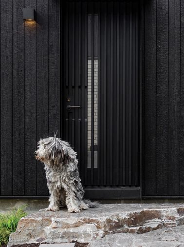 The custom door is designed by SHED and made by Northwest Millwork and Door Co. and guarded by Luigi the sheep dog.