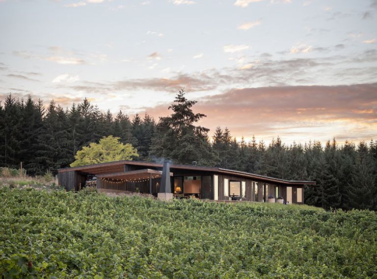 Home and vineyard were conceived together to maximize views and create a harmonious blend between nature and structure.