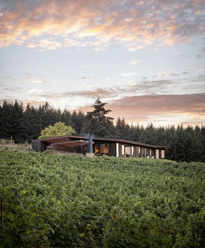 Home and vineyard were conceived together to maximize views and create a harmonious blend between nature and structure.
