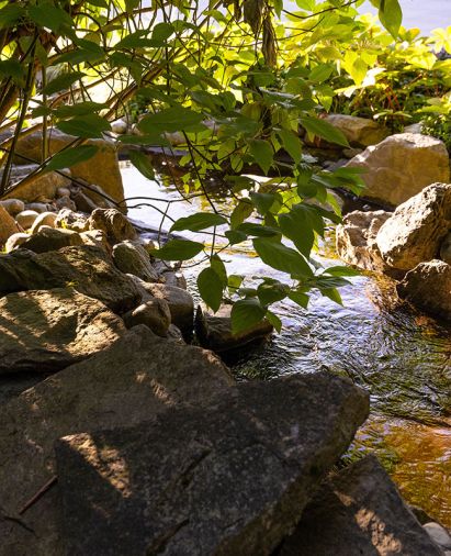 The stream along the passageway is surrounded by lush plantings and leads to one of the water features by Turnstone Construction.