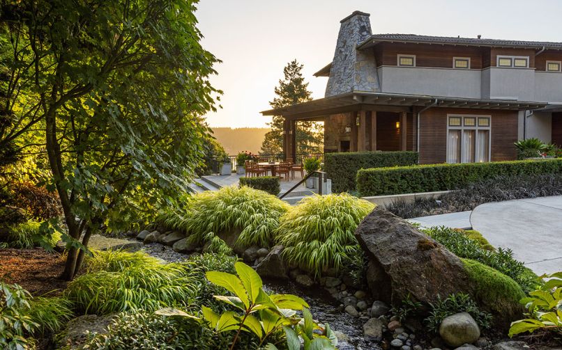 The reconfigured, pared-down driveway’s new plantings include a lush mixture of Himalayan Sweet Box, Rodgersia that grows well in shady spots such as beneath this maple tree, Japanese Forest Grass, Vine Maple and Black Mondo Grass.