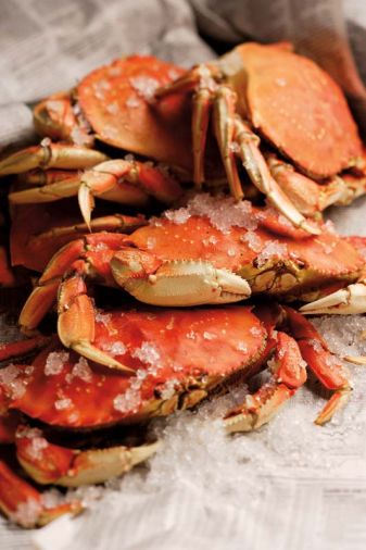To ensure future harvests, only mature male crabs measuring 6¼” across the shell are harvested; juvenile males and all females are returned to the sea.