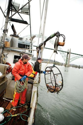 The crew uses a “winch” to pull up the crab pots, which weigh anywhere from 60 to 125 lbs and measure 36” to 48” in diameter. The average boat fishes 300- 500 pots in depths of 5-100 fathoms (30 to 600 feet) of water.