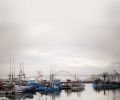 When a silvery fog shrouds the Newport docks and the wind blows, the moored fishing boats slow dance in the blue-green Yaquina Bay.