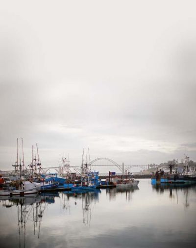 When a silvery fog shrouds the Newport docks and the wind blows, the moored fishing boats slow dance in the blue-green Yaquina Bay.