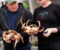 Laura Anderson of Local Ocean buys direct from the local fishermen for her Bayfront seafood market and grill, and works with more than 50 local fishermen.