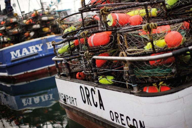 The Dungeness crab fishery continues to make the “green light” category in guides such as the Monterey Bay Aquarium Sea Watch for sustainability initiatives.