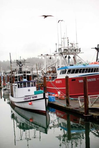 Illustrious crab pots dot the seascape in season, each vessel has a distinctly colored buoy.