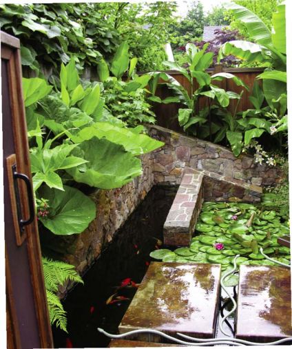 Large leaves and vibrant foliage characterize the tropical nature of the garden.