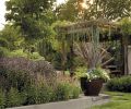 The side garden offers another green space for entertaining, highlighted by a striking steel arbor, and steel trestle table with a granite-top and matching benches designed by metal artist Todd McMurray. Allowed to rust naturally, the arbor beams create a simple structure above the outdoor dining area. The soft canopy of climbing and draping plants creates an intimate setting for moonlit dinner parties as well as visual interest throughout the year. Sinuous weeping Blue Atlas Cedar (Cedrus atlantica ‘Glauca Pendula’) and mature vines of Sweet Autumn clematis (Clematis terniflora) form the ceiling of this garden room. In the winter the new growth of this vine is removed, producing the heavy cord-like trunks that curve around and mollify the hard surface of the metal structure.