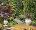 Plants are used instead of more typical garden art to provide living sculpture throughout the garden. Large trees were left in place to link to taller Douglas firs on surrounding lots, and a purple-leafed Japanese maple is easily traced against the house and brighter green surroundings.