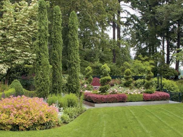 A knot garden of seemingly interwoven boxwood, and barberry, backed by a screen of corten iron and steel mesh housing evergreen star jasmine provide a barrier to the neighbor’s driveway. The color of the barberry is echoed in the rusty iron partition, and will be further emphasized when the red fountain grass in the urns blooms from mid-summer until the first frost.