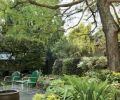 A bald cypress, Taxodium distichum, presides over a seating area outside the southwest corner of the house, a part of the garden Lady Ann McDonald called her “Chilean garden,” where she grew South American plants.