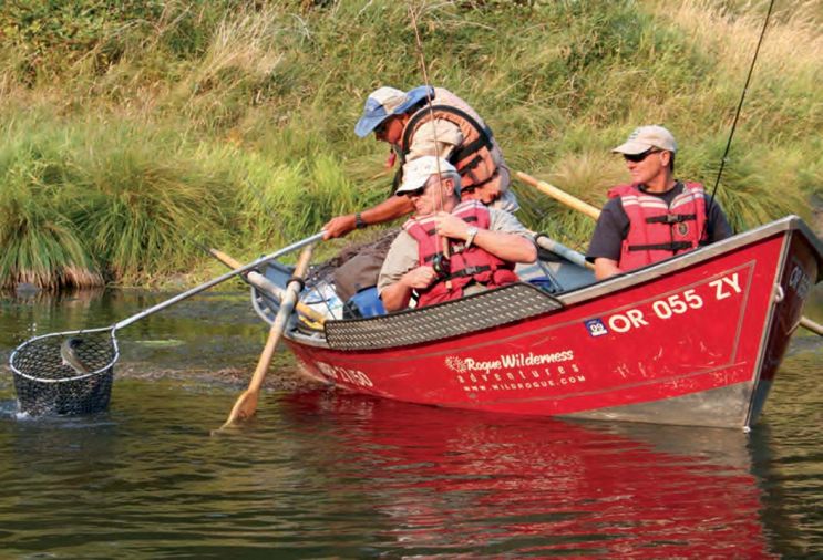 Rogue Wilderness Adventures offers many options for guided drift boat fishing trips on the Rogue River. Popular catches include the coveted Chinook Salmon, Steelhead and Coho Salmon.