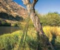 Rods leaning against a birdhouse during an Emerald Water Angler camp – a good selection never hurts.