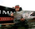 Eric Neufield with a beautiful Chinook salmon, which occasionally take steelhead flies.