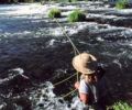 Judith O’Keefe in prime water during the spring salmon fly hatch.