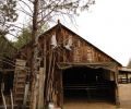 The Juniper Grove Farm location in Central Oregon’s High Desert is ideal for raising a healthy herd of goats for the farm’s goat cheese.