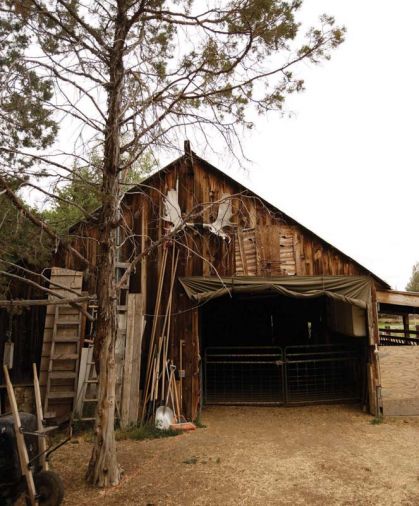 The Juniper Grove Farm location in Central Oregon’s High Desert is ideal for raising a healthy herd of goats for the farm’s goat cheese.