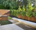 Panels, concrete benches, geometric planting beds and trees with a strong linear line were used to tie the house to the outdoors in a transitional garden space designed by landscape architect Andrea Cochran.