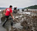 Forking oysters into tubs for harvest, low tide, Oyster Bay. Most oysters are harvested after two to three years of feeding and growing in the bay.