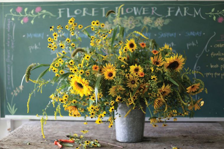 Sunflowers, solidago, millet, fennel, rudbeckia triloba and ‘chim chimnee.’