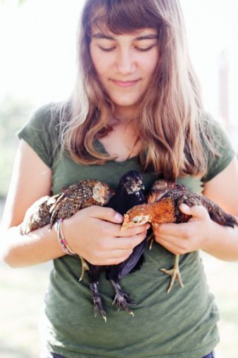 No farm is complete without chickens.