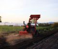 Tending the fields: Erin’s entire family is involved in planting, tending and harvesting.