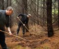 Christopher Czarnecki and Vitaly Paley lightly raking the fir-duff.