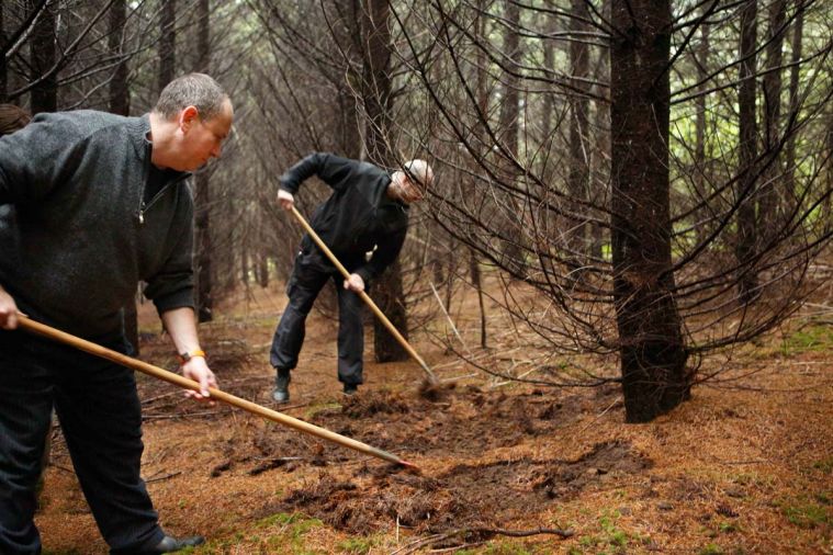 Christopher Czarnecki and Vitaly Paley lightly raking the fir-duff.