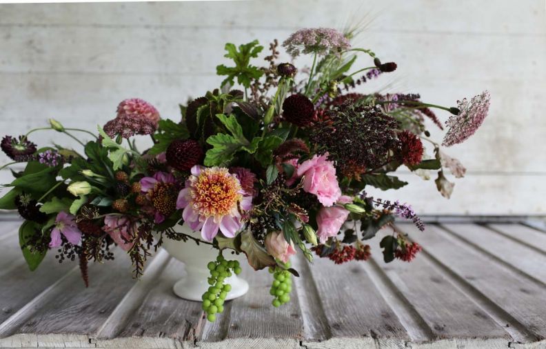 This moody bouquet designed by Erin Benzakein of Floret Flowers includes: grapes, coleus, amaranth, dahlias ‘Bracken Rose,’ ‘Twilight’ and ‘Crossfield Ebony,’ black queen anne’s lace, scabiosa, basil, copper beech, black elderberries, lisianthus, scented geranium ‘Chocolate,’ wheat, nine bark ‘Coppertina’ and thornless blackberries.