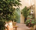 An enclosed courtyard graced with potted plants from Tony Michael in Portland opens to the main hall and the master bedroom.