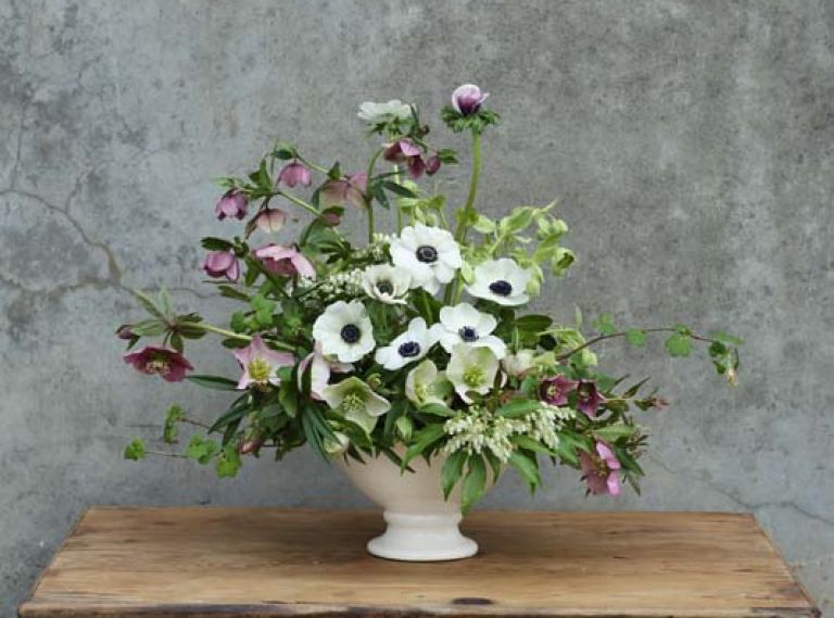 Use this flower guide to recreate this arrangement from floral designer Kailla Platt: 2 Stems Andromeda Pieris japonica, 5 Stems Hellebore Helleborus x orientalis (three colors pictured), 7 Stems Anemone Anemone coronaria ‘Carmel White,’ 7 Stems Sierra Laurel Leucothoe davisiae, 2 Stems Flowering Currant Ribes sanguineum, 4 Stems Dwarf Sweetbox Sarcococca hookeriana humilis, 2 Stems Bearsfoot Hellebore Helleborus foetidus.