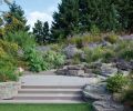 Lush plantings soften hard edges among the hardscaping.