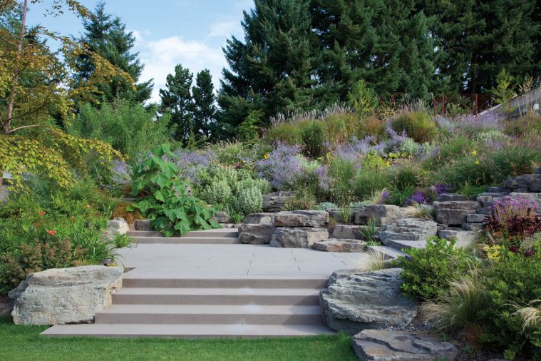 Lush plantings soften hard edges among the hardscaping.