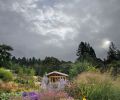 Rich jewel tones like the coreopsis, artemisia, and penstemon seen here contrast gorgeously with what Lovejoy calls “oyster light,” the luminous, silvery light of overcast Northwest skies. Native forests provide a borrowed skyline and give rich, dark edges to the garden that provide drama and definition.