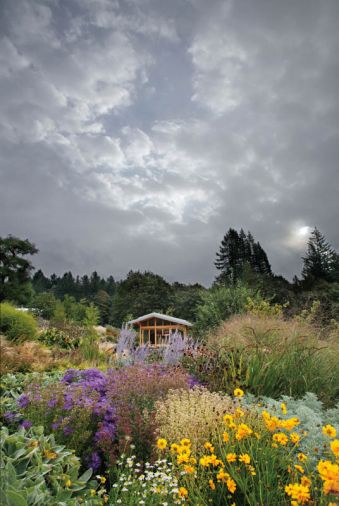 Rich jewel tones like the coreopsis, artemisia, and penstemon seen here contrast gorgeously with what Lovejoy calls “oyster light,” the luminous, silvery light of overcast Northwest skies. Native forests provide a borrowed skyline and give rich, dark edges to the garden that provide drama and definition.